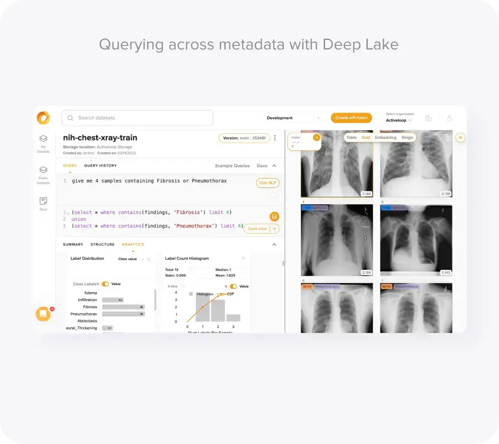 activeloop desktop application